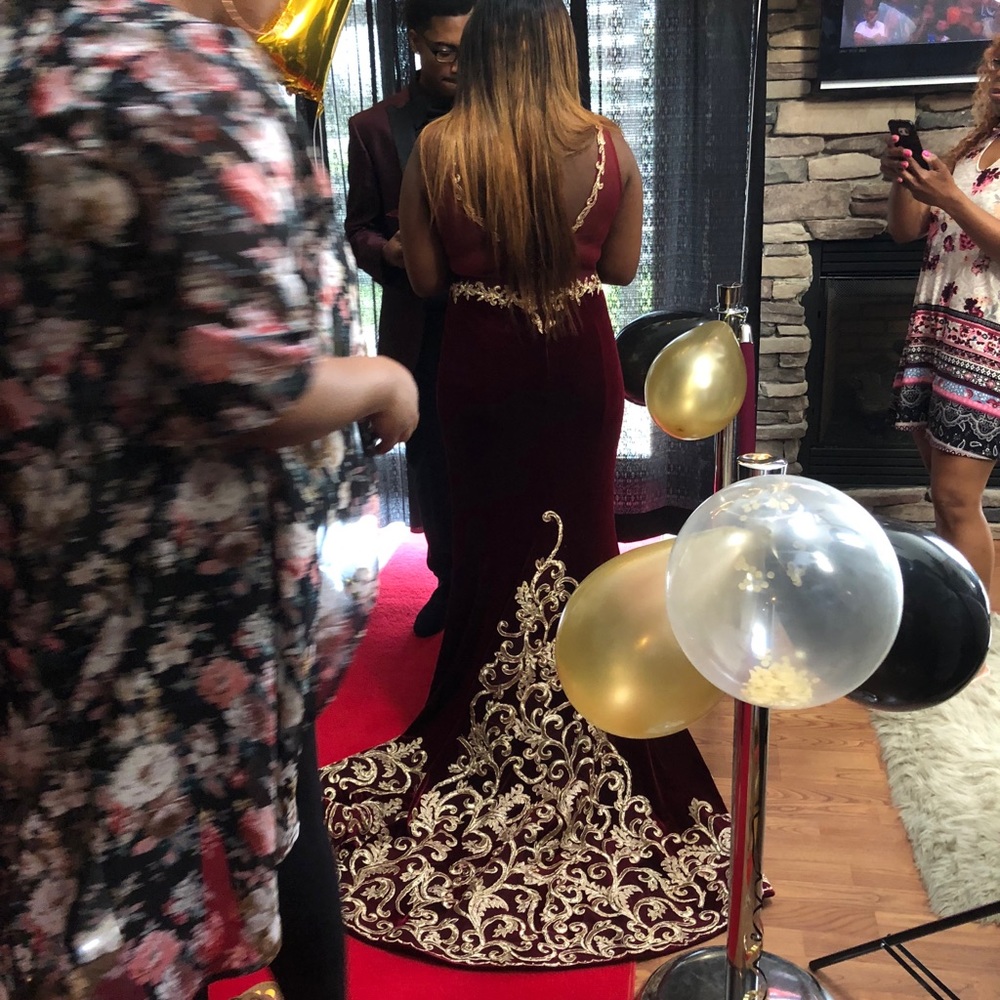 Beautiful Prom Dress - Picture 6 of 6